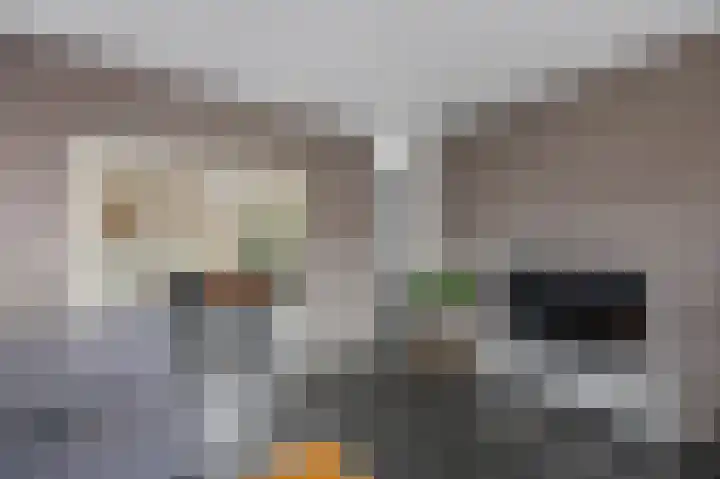 Maasbrachterweg 20 Echt thumbnail 18