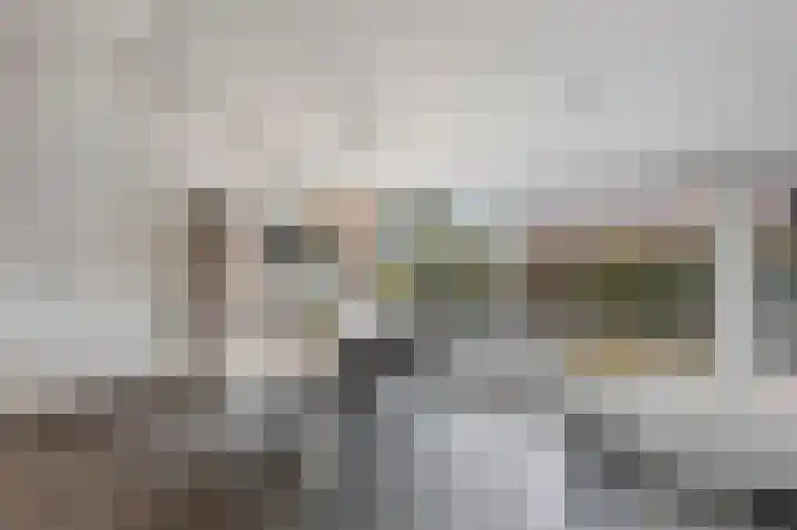 Maasbrachterweg 20 Echt thumbnail 22