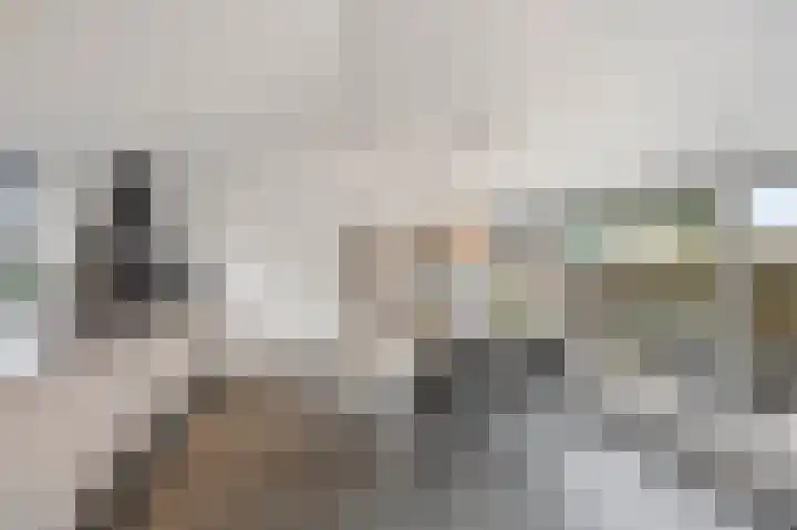Maasbrachterweg 20 Echt thumbnail 24