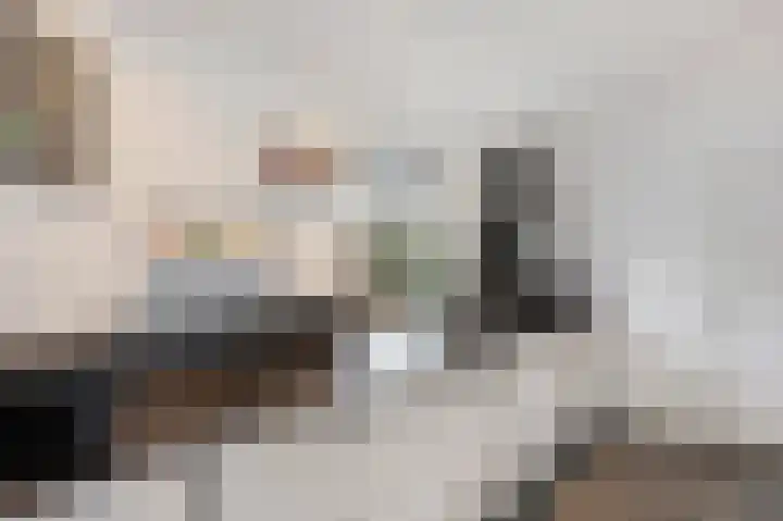 Maasbrachterweg 20 Echt thumbnail 26