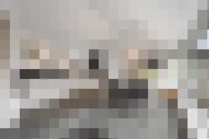 Maasbrachterweg 20 Echt thumbnail 27