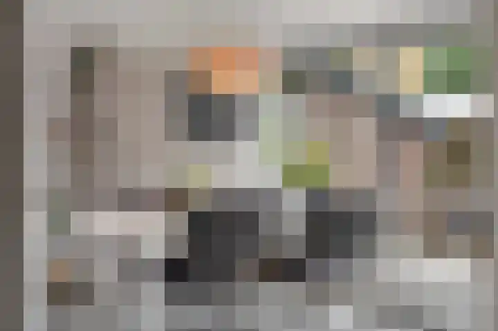 Maasbrachterweg 20 Echt thumbnail 28