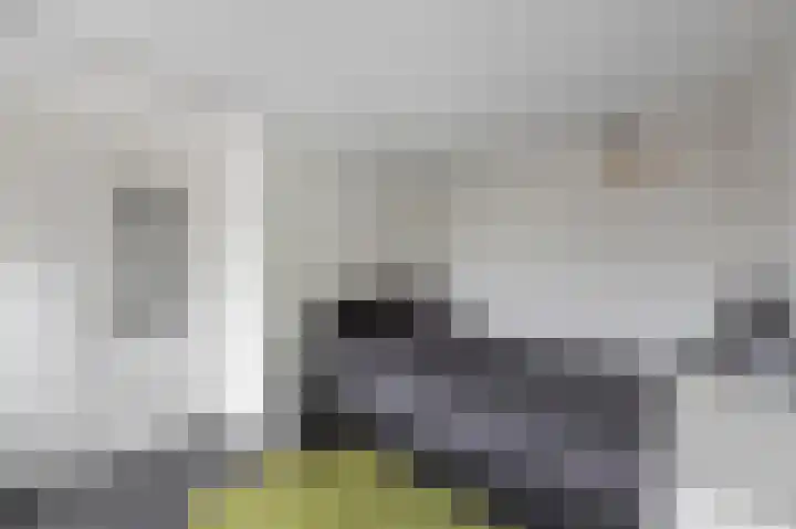 Maasbrachterweg 20 Echt thumbnail 30