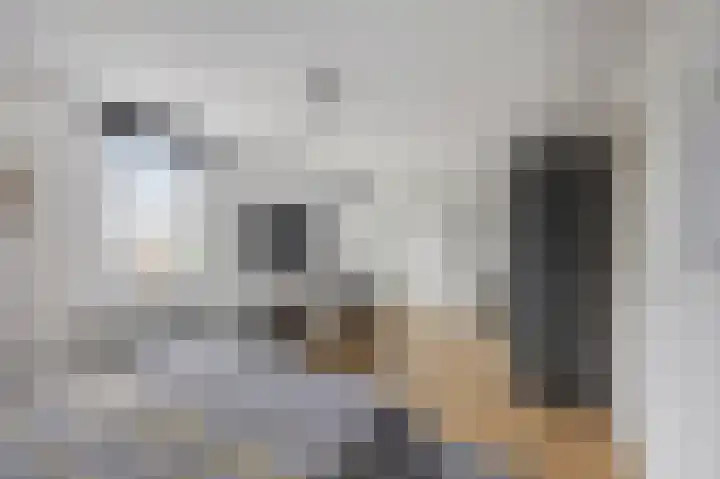 Maasbrachterweg 20 Echt thumbnail 33