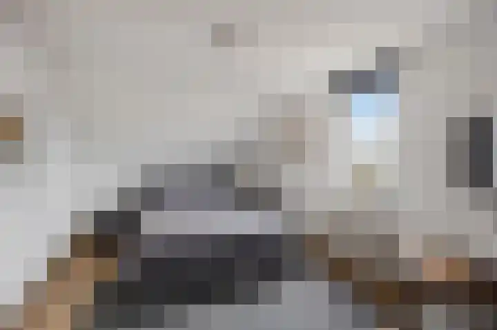 Maasbrachterweg 20 Echt thumbnail 34