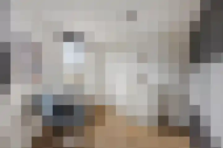 Maasbrachterweg 20 Echt thumbnail 35