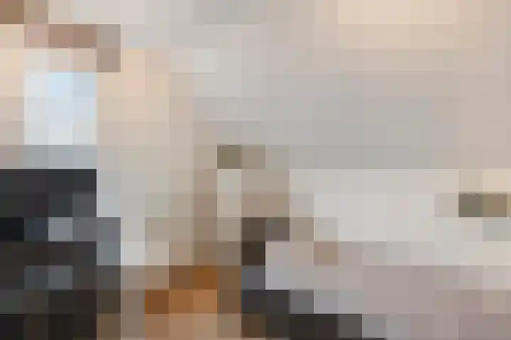 Maasbrachterweg 20 Echt thumbnail 37