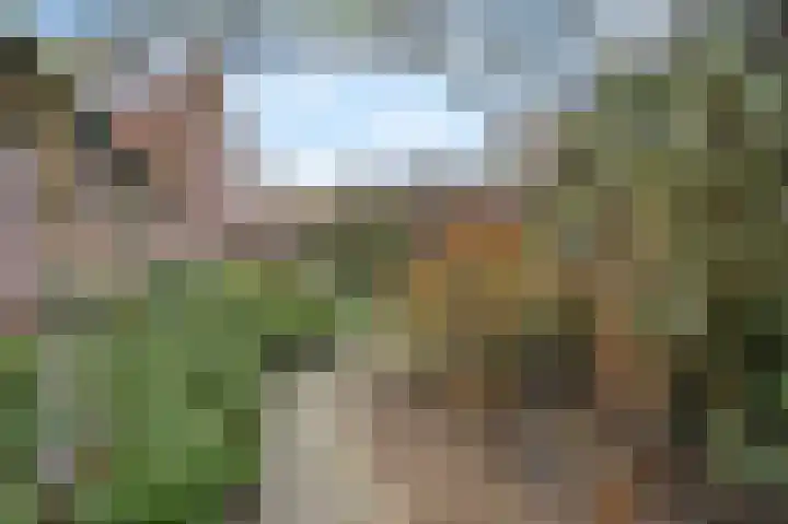 Maasbrachterweg 20 Echt thumbnail 46
