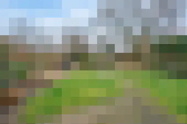 Maasbrachterweg 20 Echt thumbnail 49