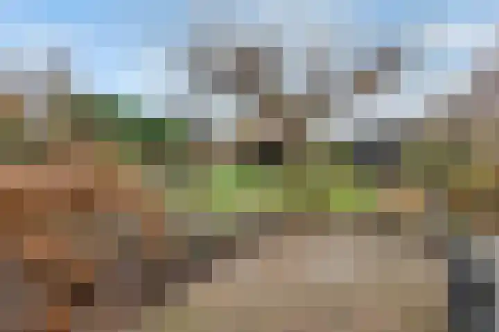 Maasbrachterweg 20 Echt thumbnail 50