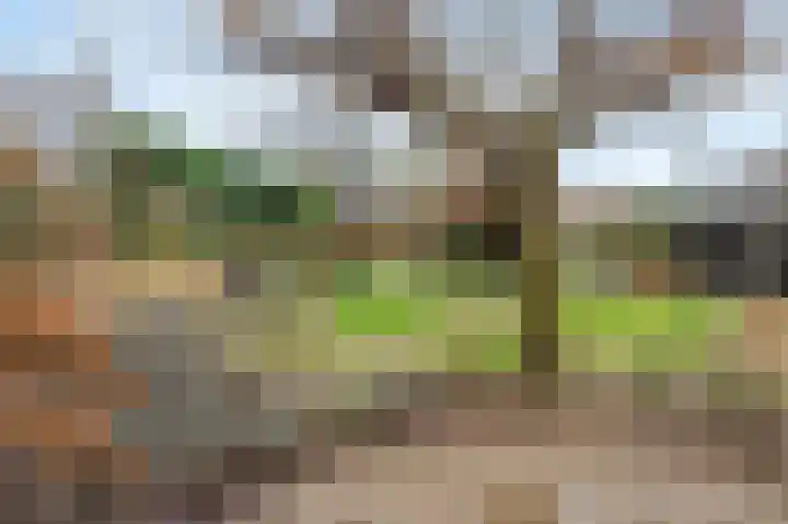 Maasbrachterweg 20 Echt thumbnail 51