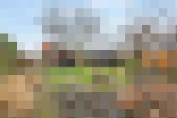 Maasbrachterweg 20 Echt thumbnail 52