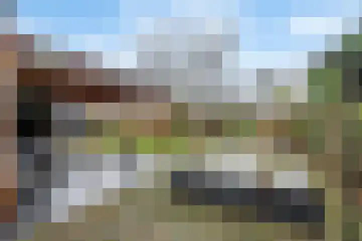 Maasbrachterweg 20 Echt thumbnail 54