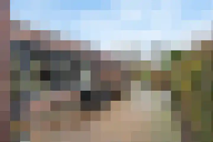 Maasbrachterweg 20 Echt thumbnail 56