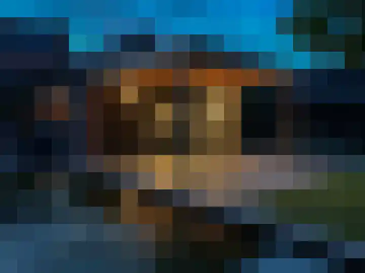 Maasbrachterweg 20 Echt thumbnail 57