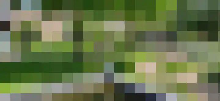 Maasbrachterweg 20 Echt thumbnail 58