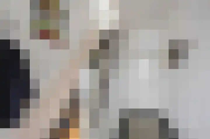 Maasbrachterweg 20 Echt thumbnail 6