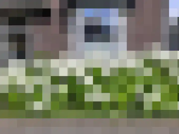 Maasbrachterweg 20 Echt thumbnail 60