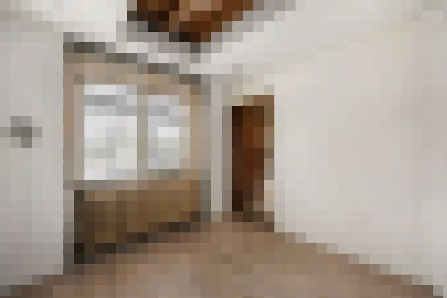 Maasbrachterweg 32 A Echt thumbnail 19