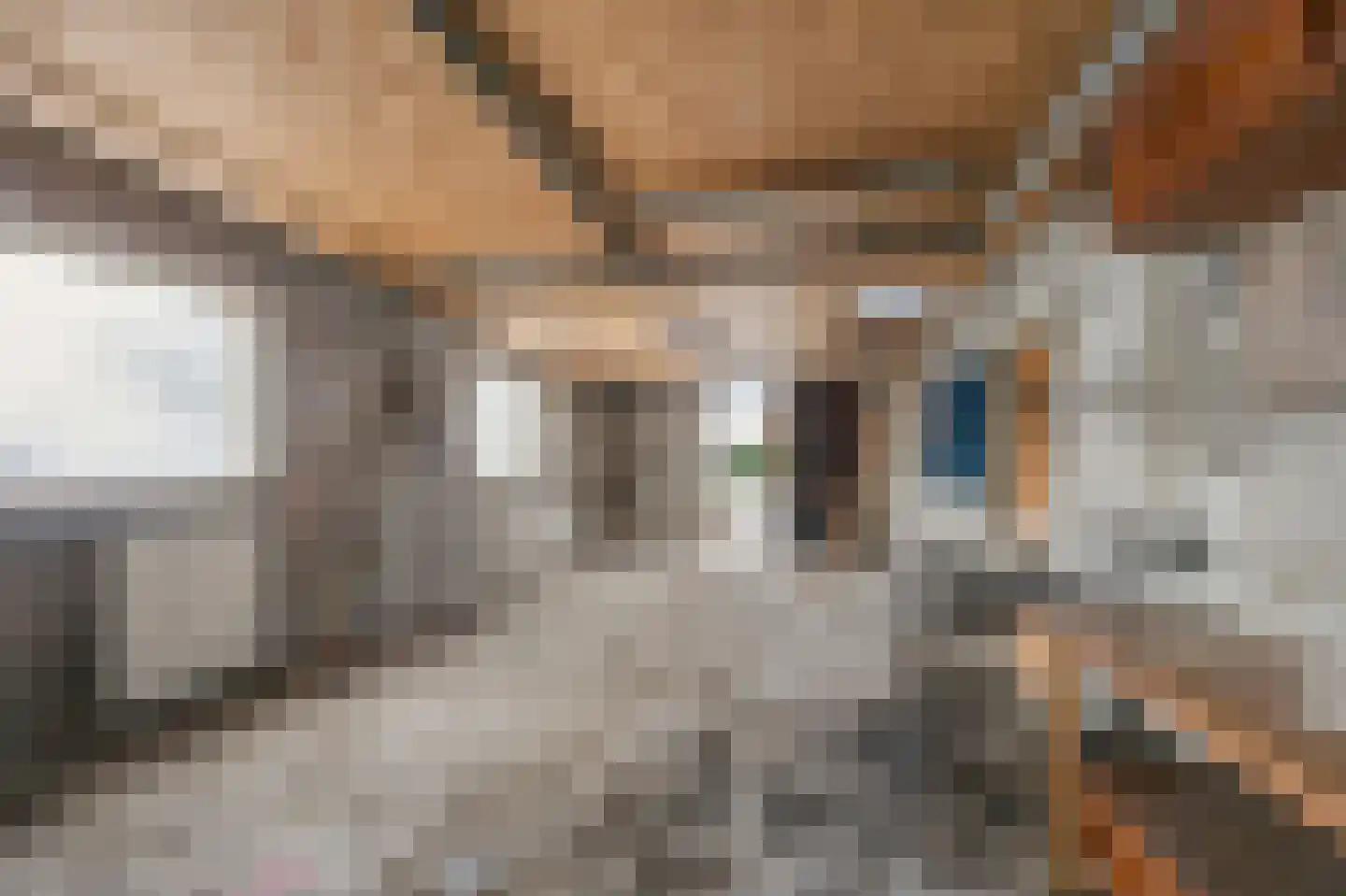 Maasbrachterweg 32 A Echt thumbnail 22