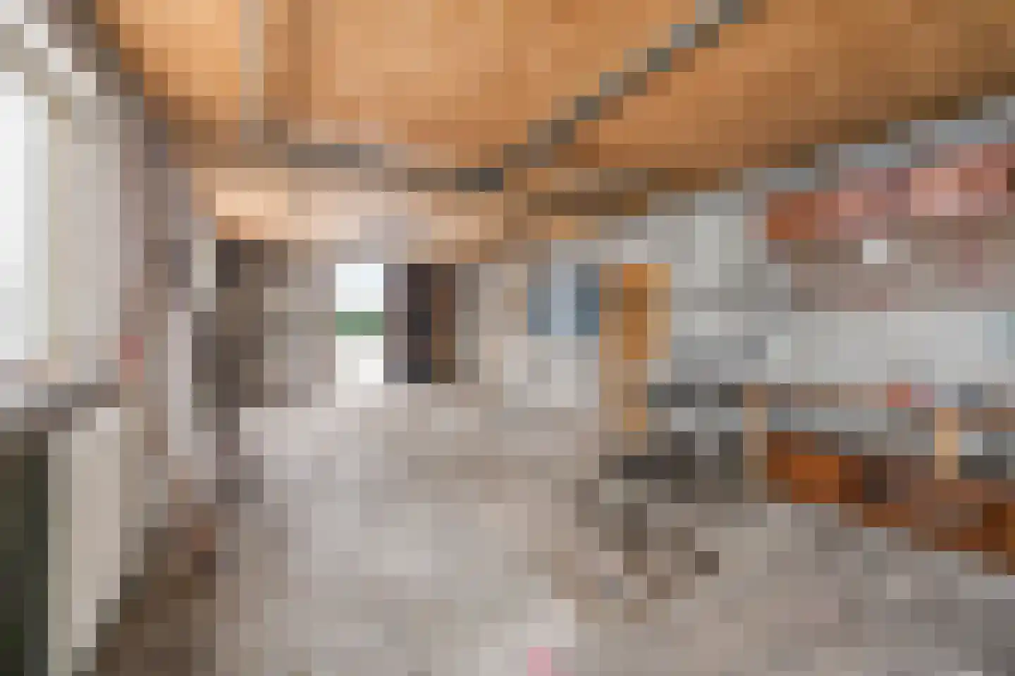 Maasbrachterweg 32 A Echt thumbnail 23