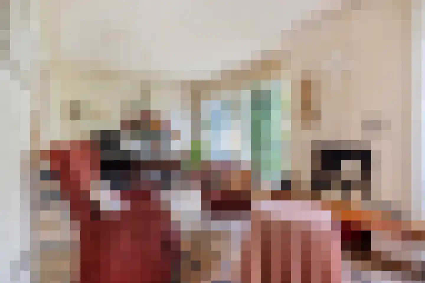 Maasbrachterweg 5 Linne thumbnail 11