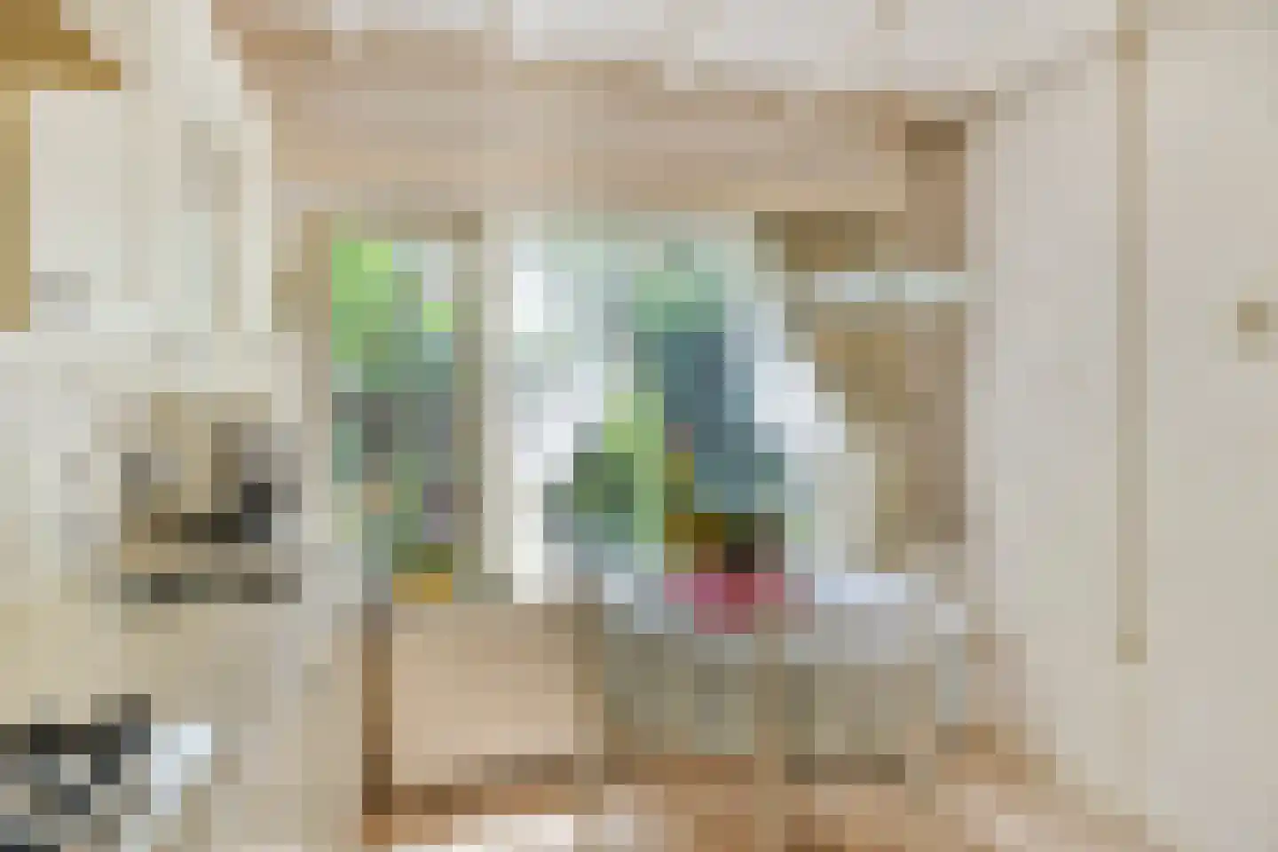 Maasbrachterweg 5 Linne thumbnail 13