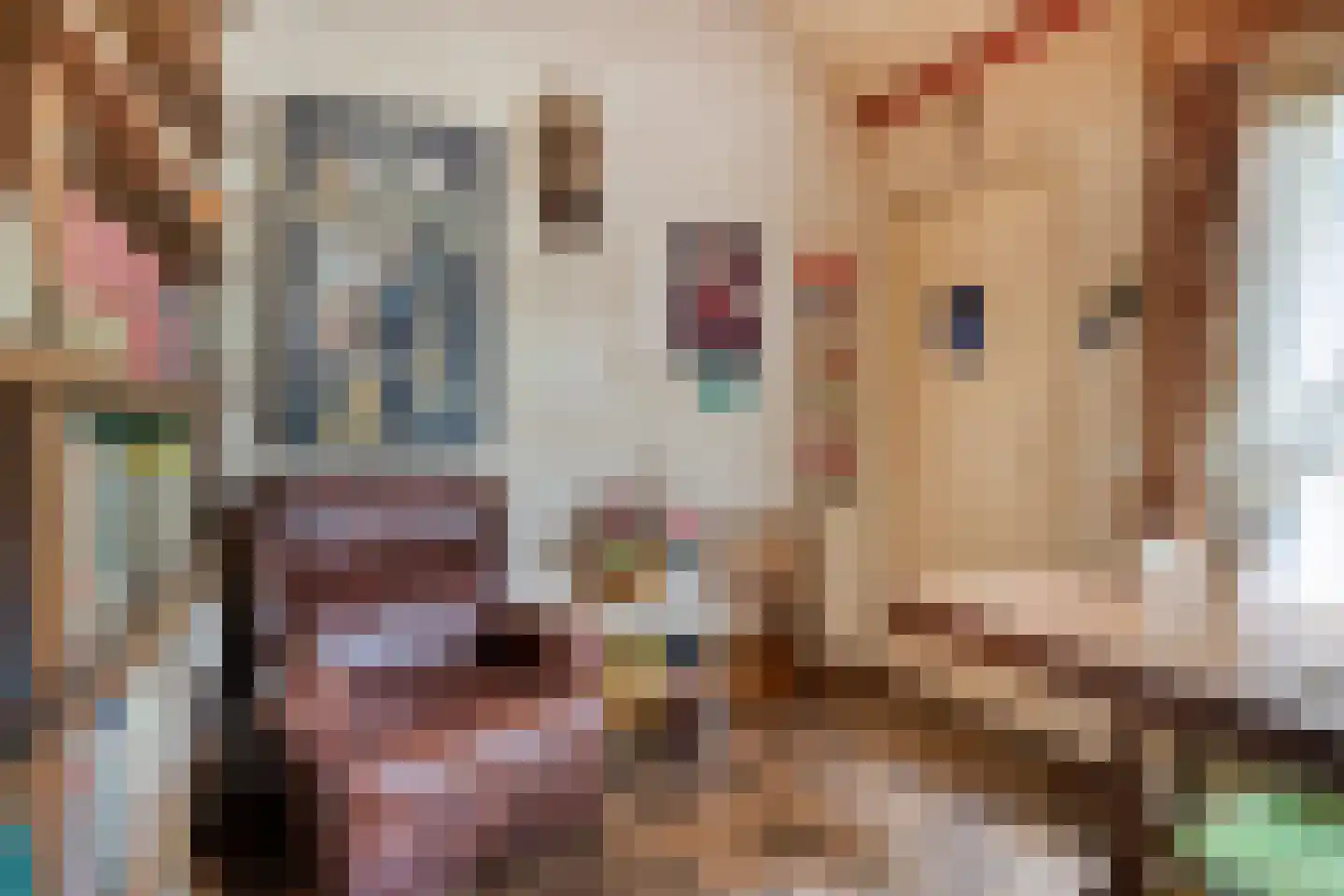 Maasbrachterweg 5 Linne thumbnail 15