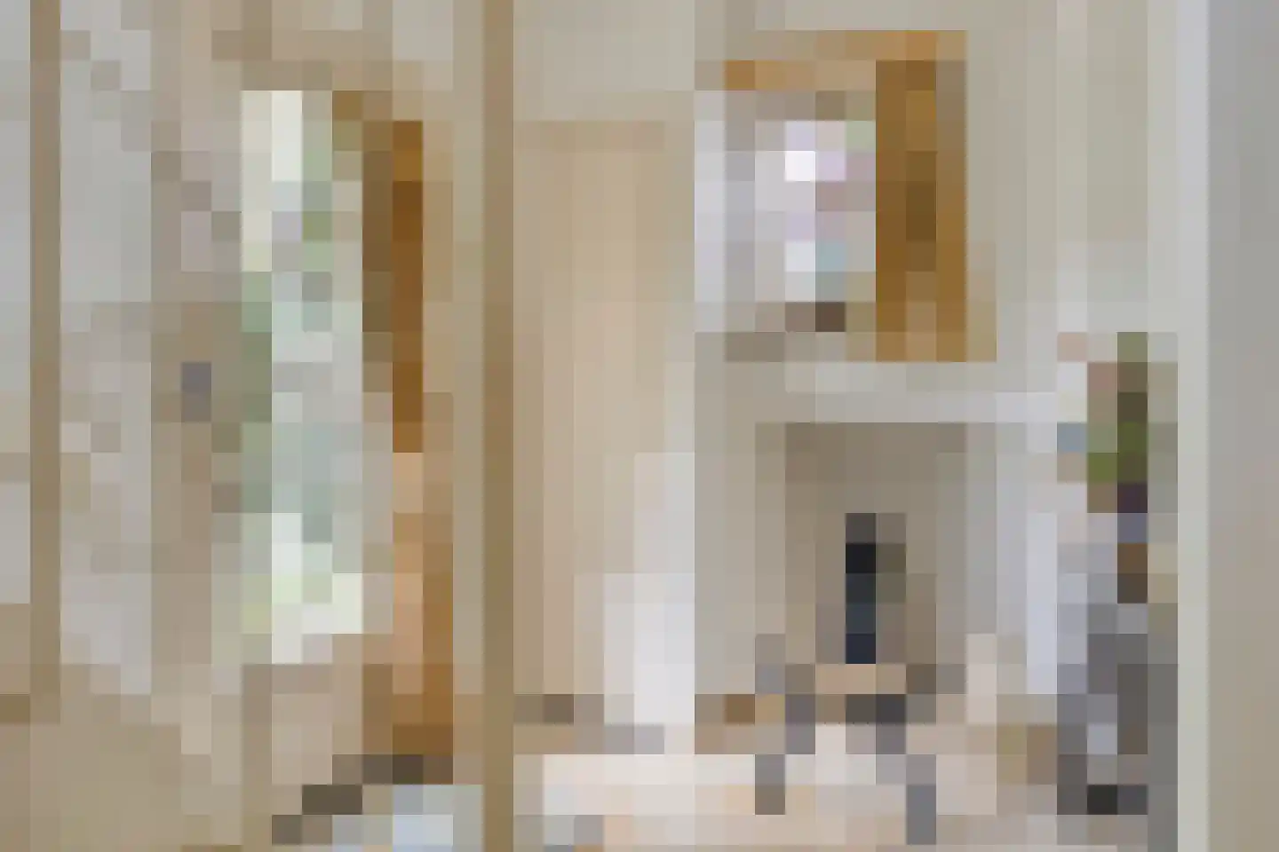 Maasbrachterweg 5 Linne thumbnail 17