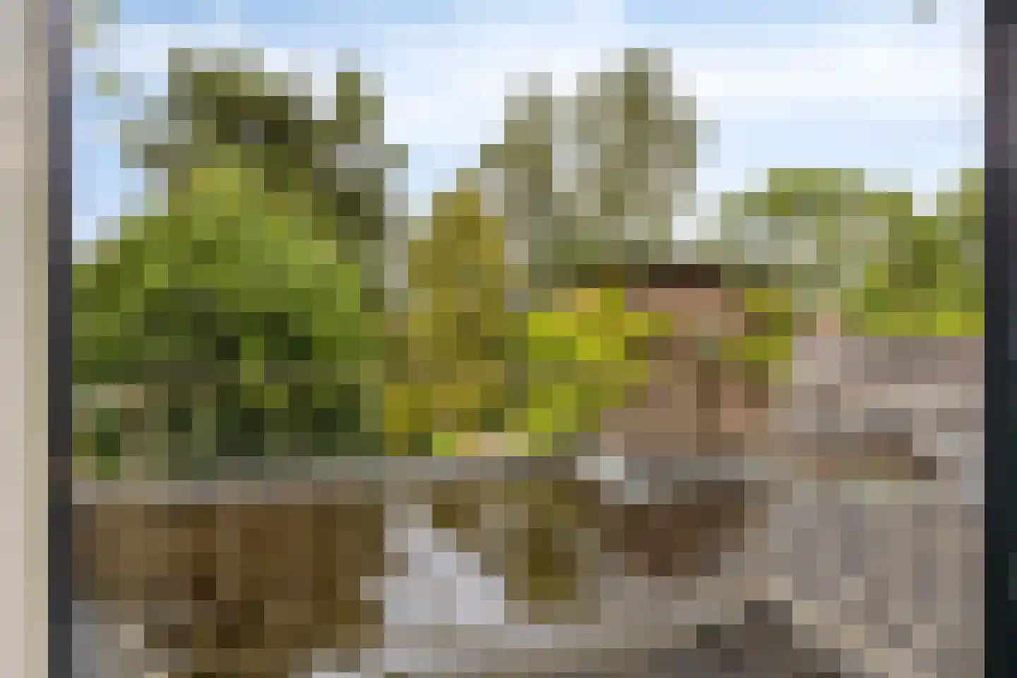 Maasbrachterweg 5 Linne thumbnail 22