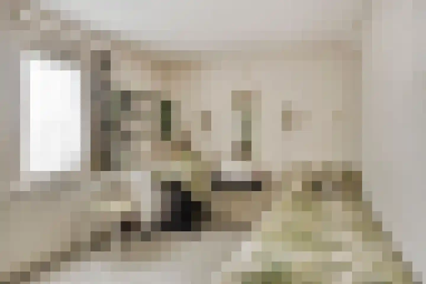 Maasbrachterweg 5 Linne thumbnail 25