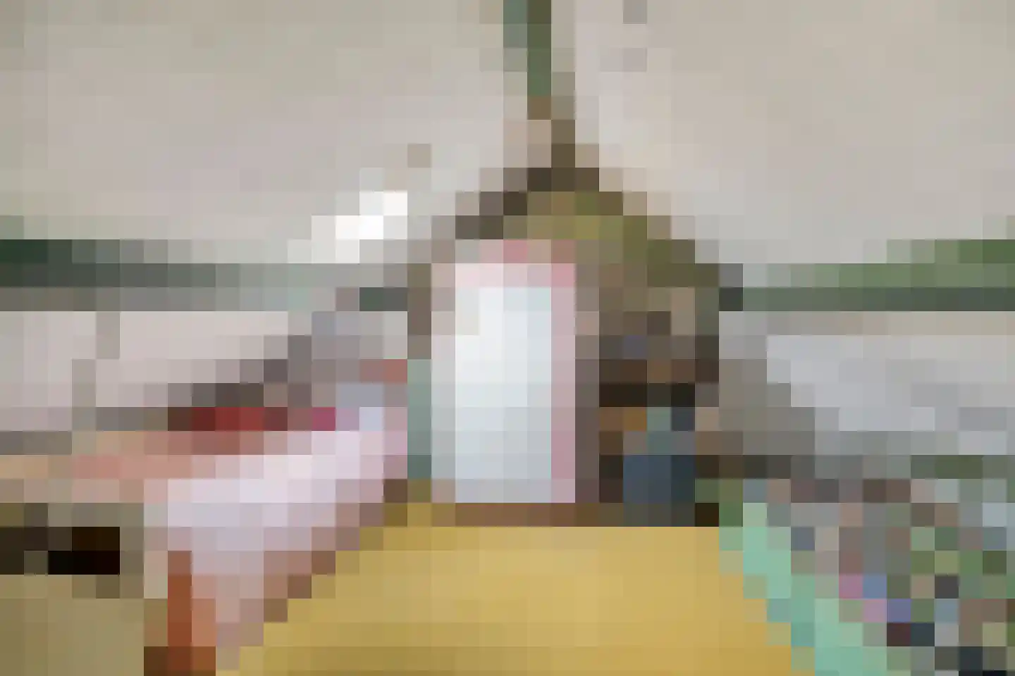 Maasbrachterweg 5 Linne thumbnail 27