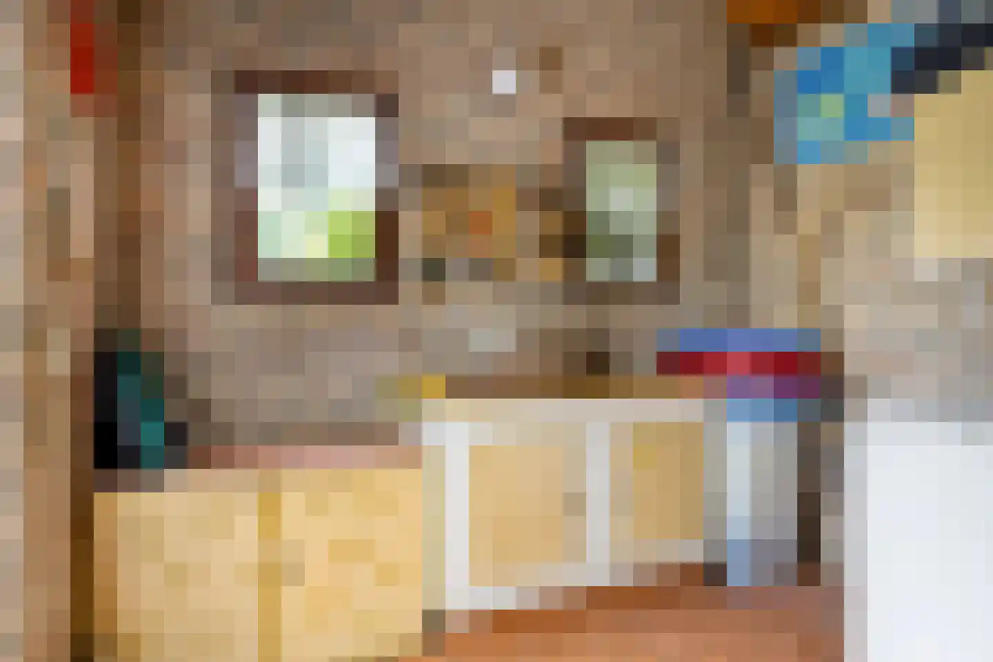 Maasbrachterweg 5 Linne thumbnail 29