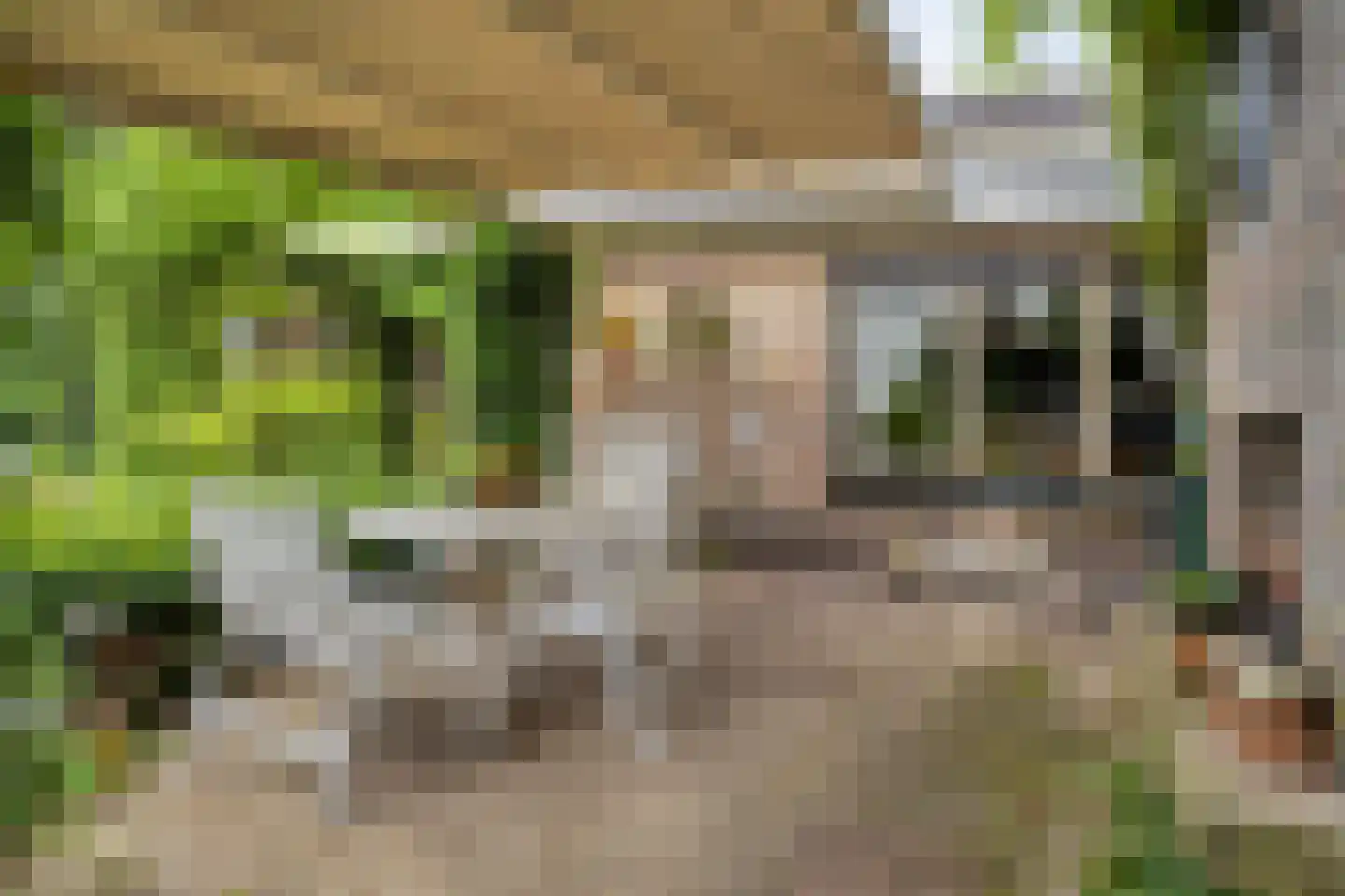 Maasbrachterweg 5 Linne thumbnail 30