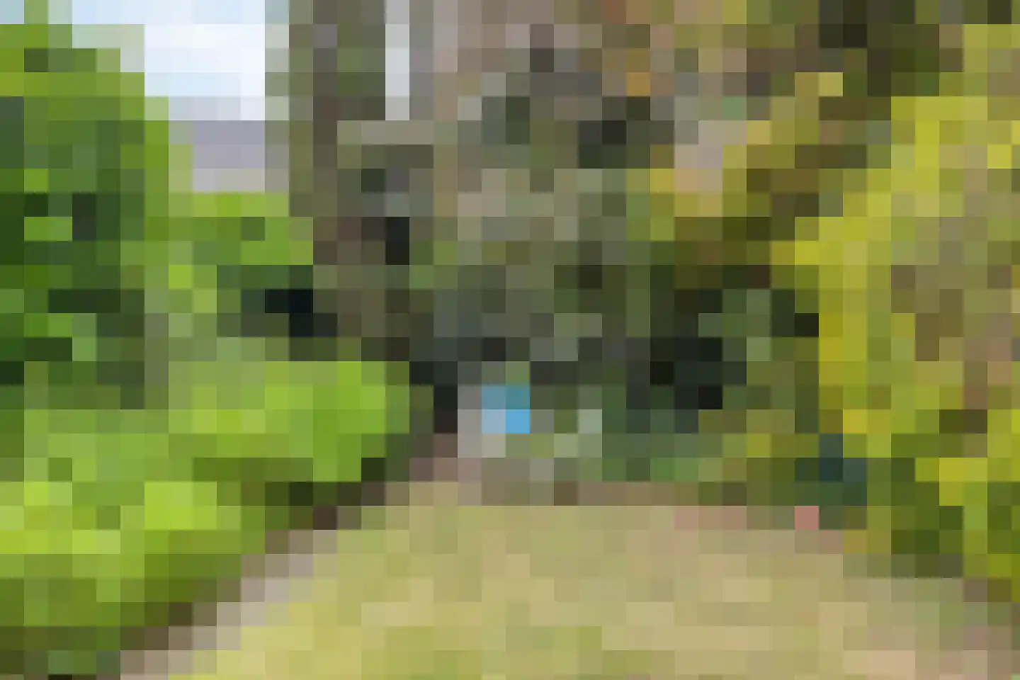 Maasbrachterweg 5 Linne thumbnail 32