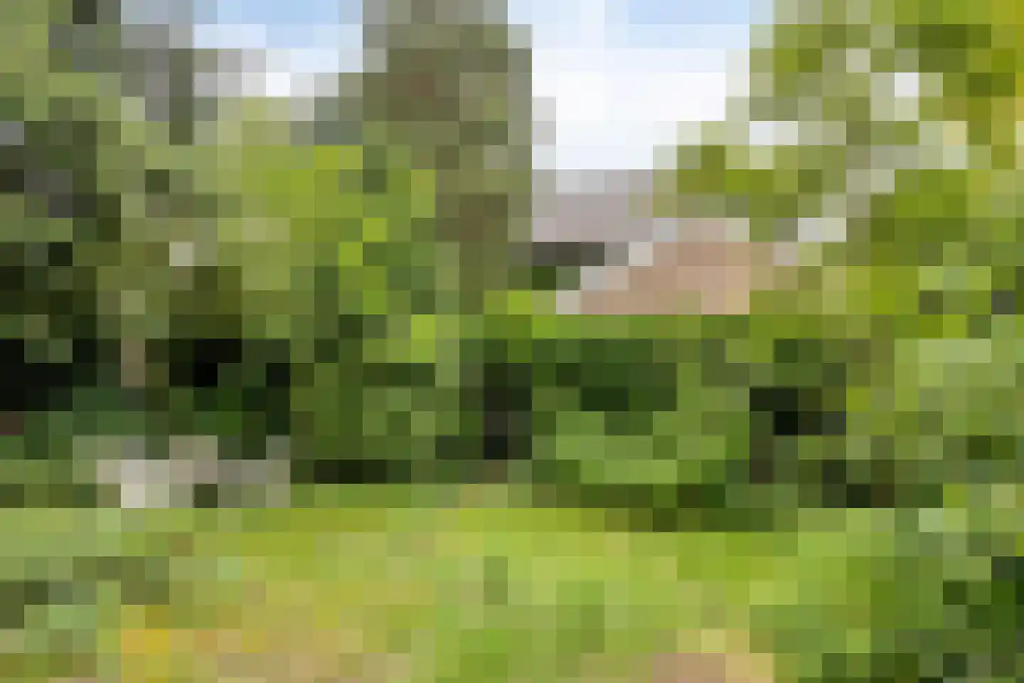 Maasbrachterweg 5 Linne thumbnail 35