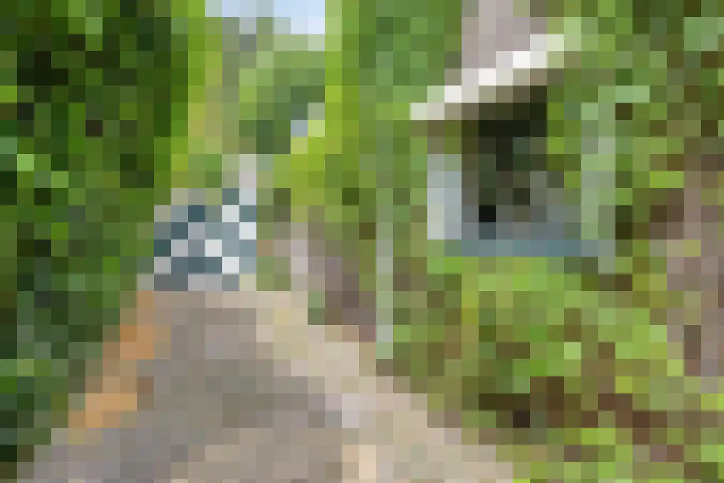 Maasbrachterweg 5 Linne thumbnail 37
