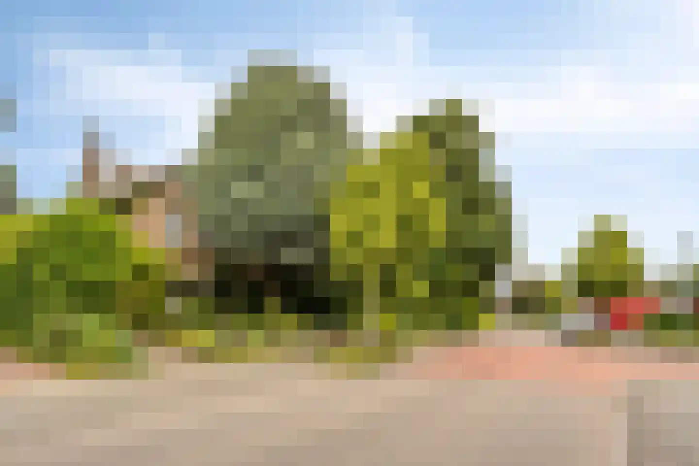 Maasbrachterweg 5 Linne thumbnail 39