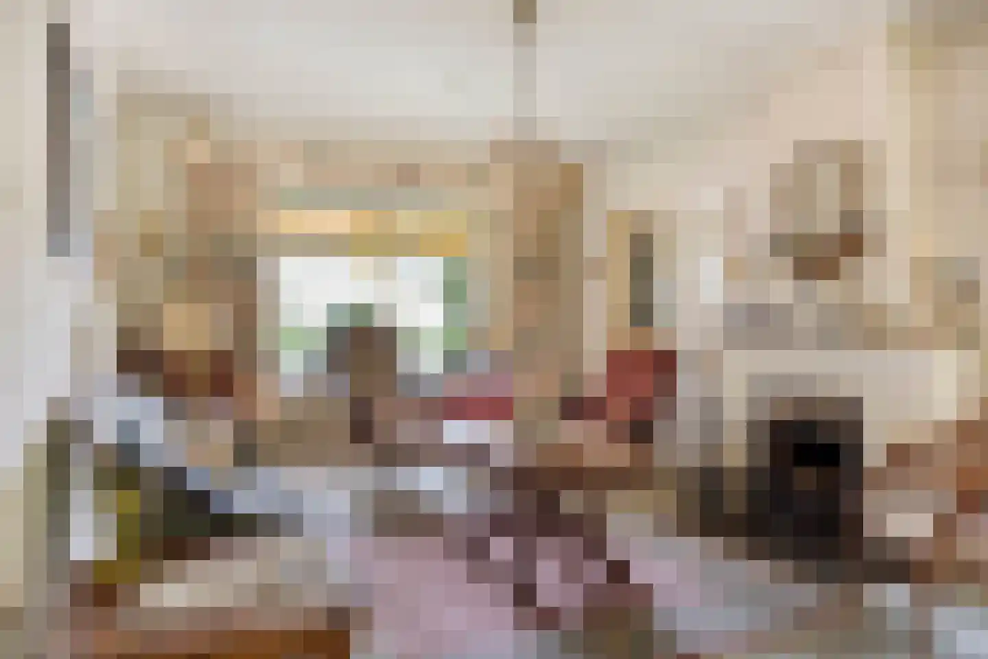 Maasbrachterweg 5 Linne thumbnail 4