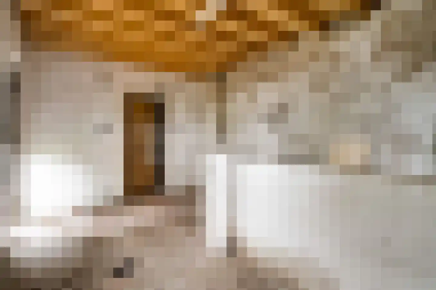 Maasbrachterweg 51 Echt thumbnail 10