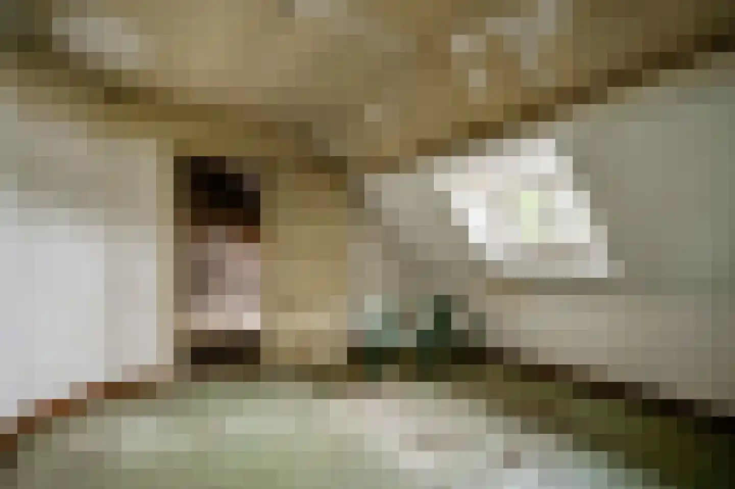 Maasbrachterweg 51 Echt thumbnail 14