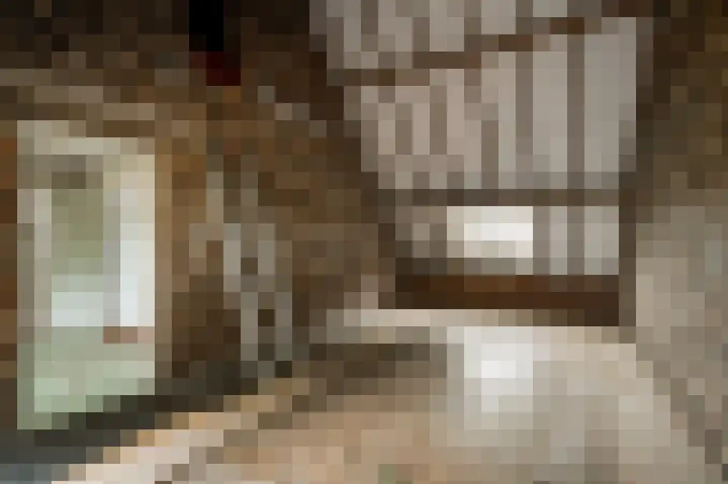 Maasbrachterweg 51 Echt thumbnail 15