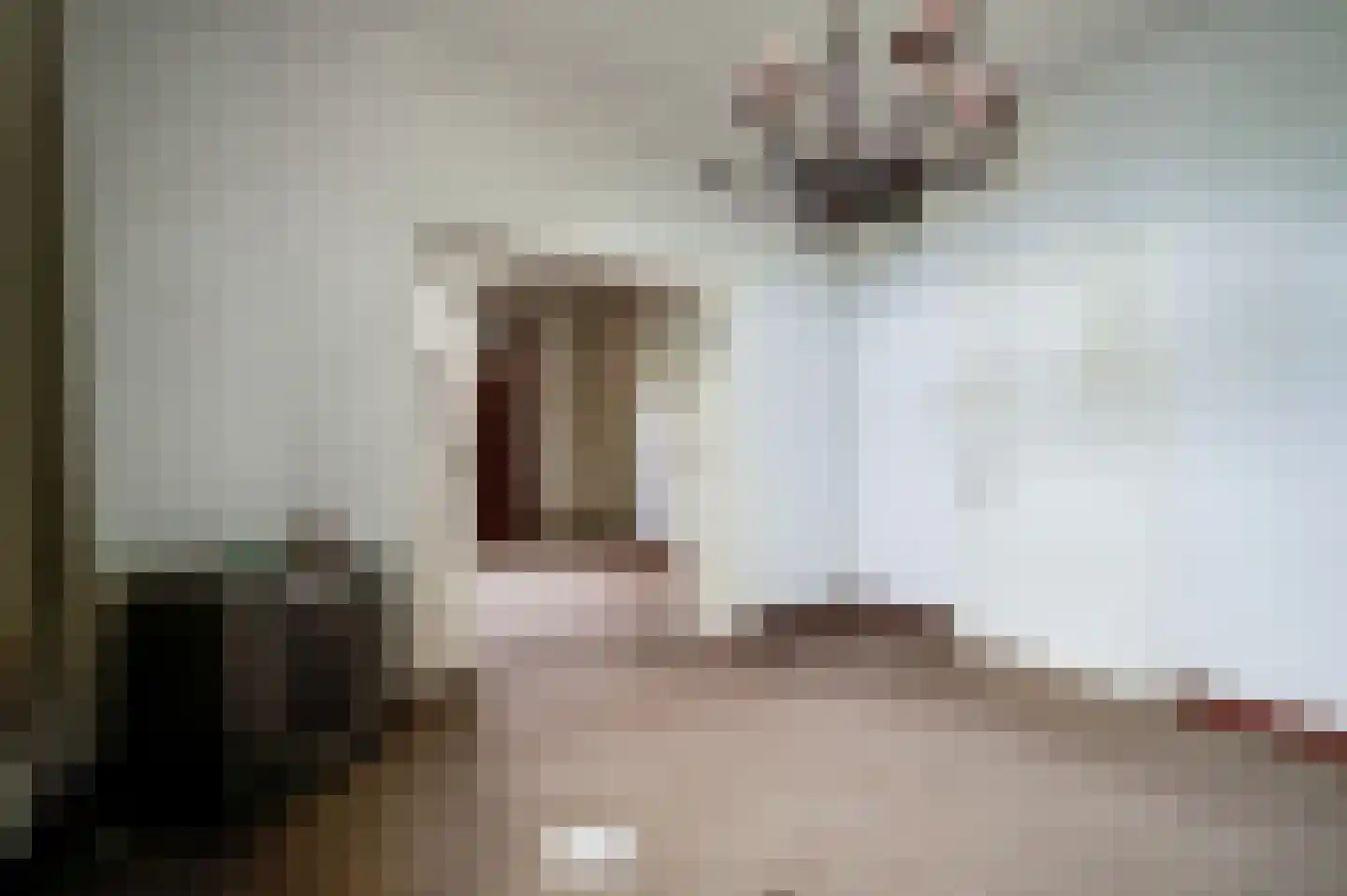 Maasbrachterweg 51 Echt thumbnail 7