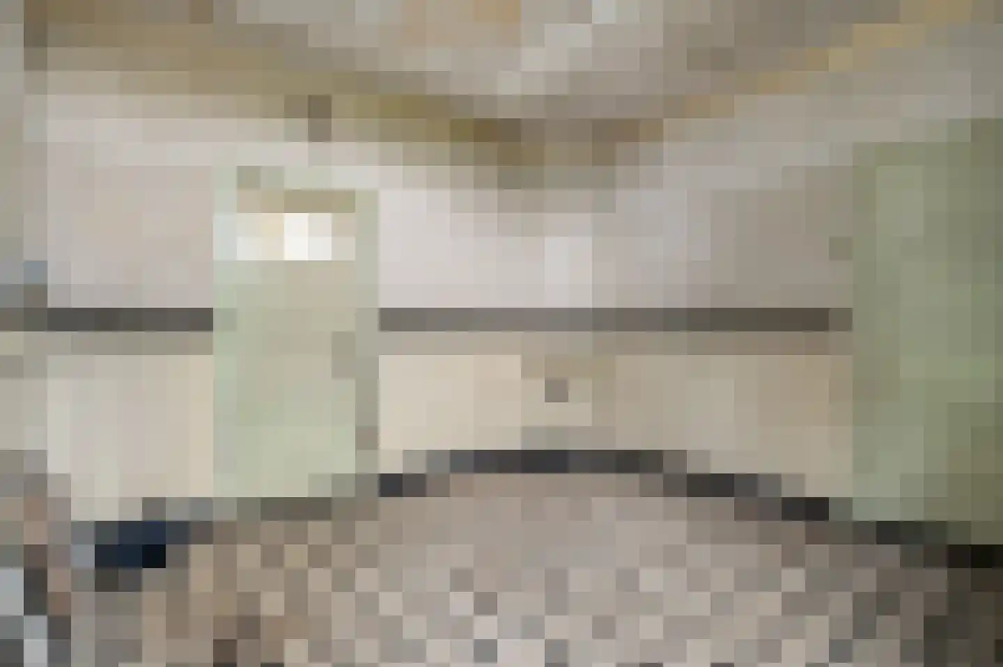 Maasbrachterweg 51 Echt thumbnail 8