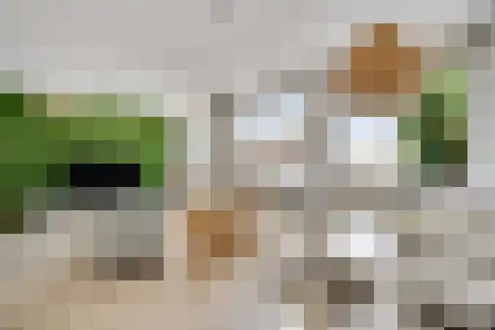 Maasbrachterweg 53 A Echt thumbnail 10