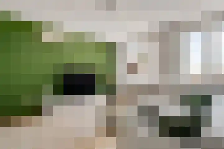 Maasbrachterweg 53 A Echt thumbnail 12