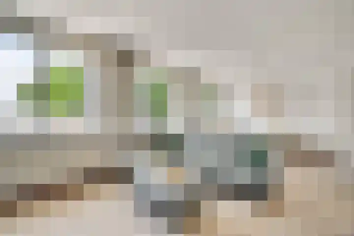 Maasbrachterweg 53 A Echt thumbnail 13