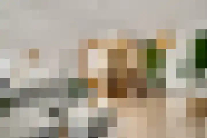 Maasbrachterweg 53 A Echt thumbnail 14