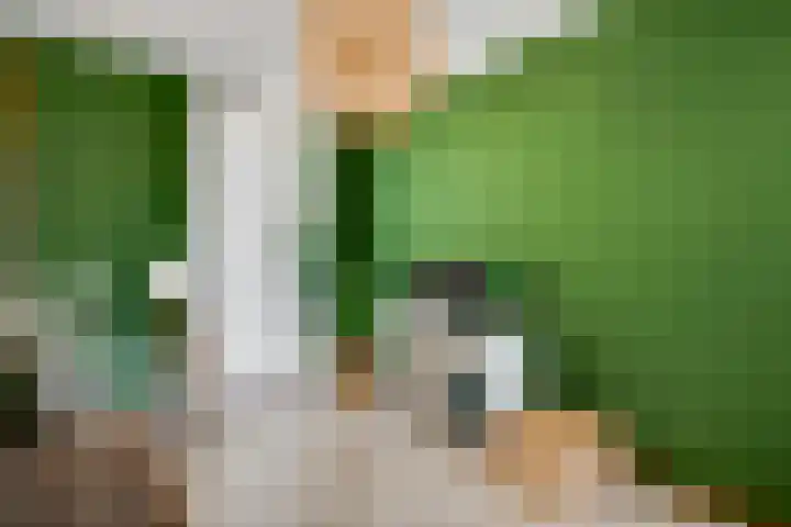 Maasbrachterweg 53 A Echt thumbnail 15