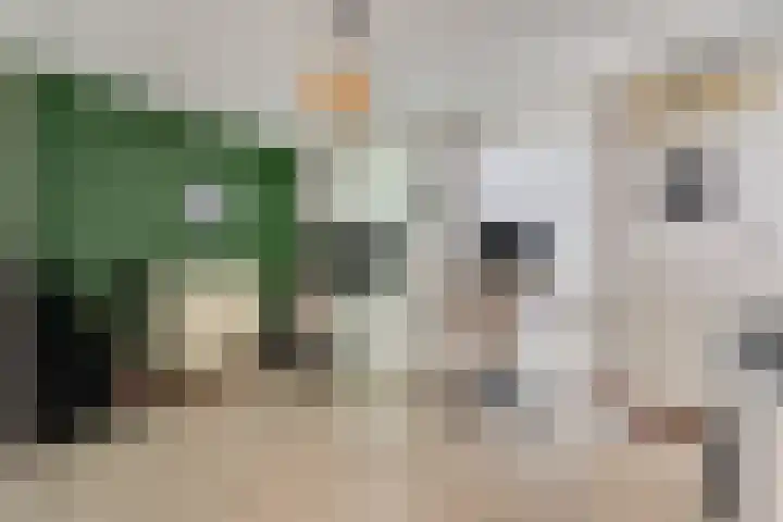 Maasbrachterweg 53 A Echt thumbnail 16